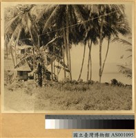 藏品(Manokwari島沿岸風景)的圖片